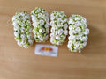 Jasmine with Babybreath Gajra Pair